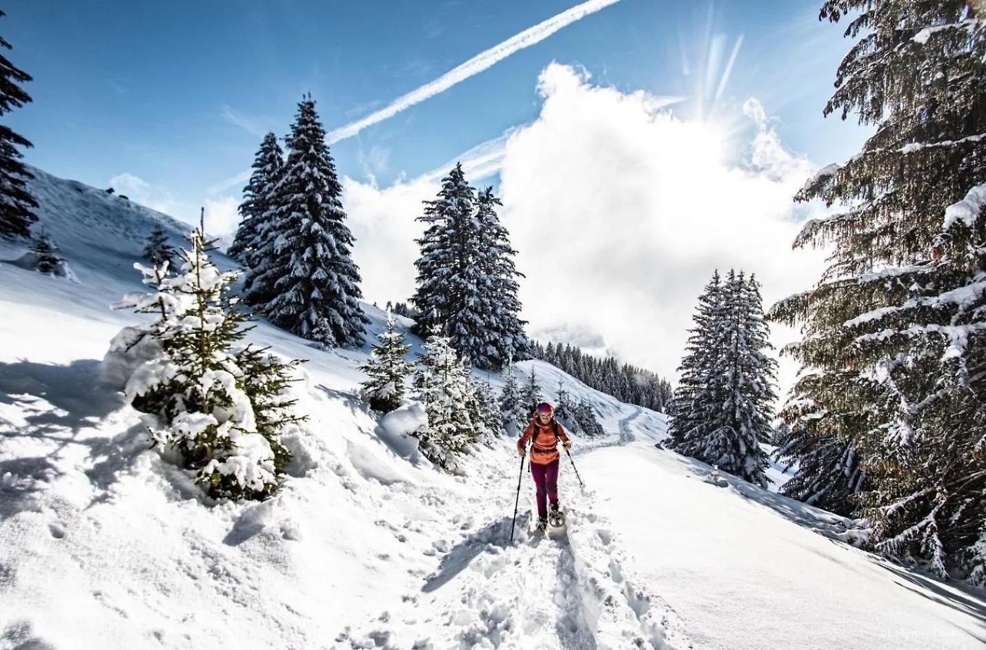 Apartment Joran Jr6 Mountain & Nature 4 Pers Chatel