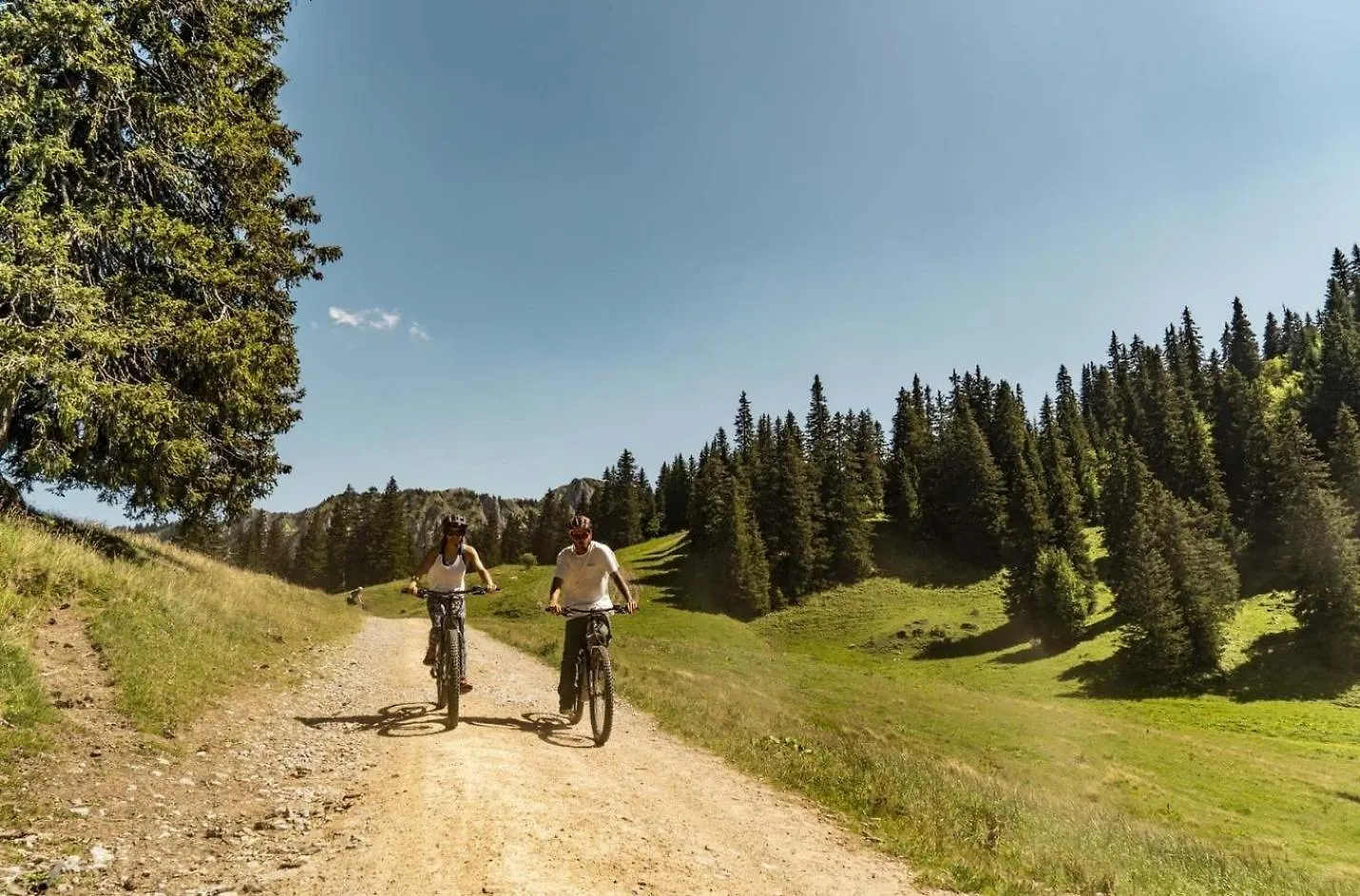 Joran Jr6 Mountain & Nature 4 Pers Chatel Apartment