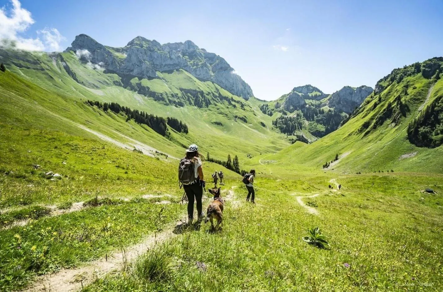 Joran Jr6 Mountain & Nature 4 Pers Chatel Apartment